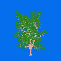 greenshift tree