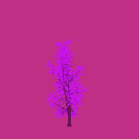 greenshift tree