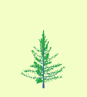 greenshift tree
