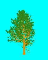 greenshift tree