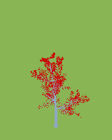 greenshift tree