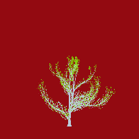 greenshift tree
