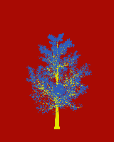 greenshift tree