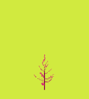greenshift tree