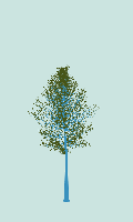 greenshift tree