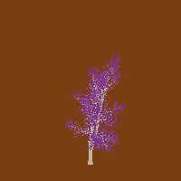 greenshift tree