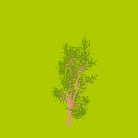 greenshift tree