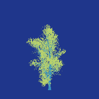 greenshift tree