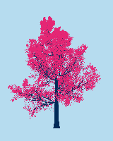 greenshift tree
