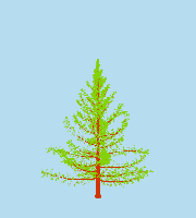 greenshift tree