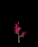 greenshift tree