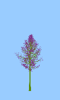 greenshift tree