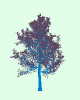 greenshift tree
