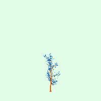 greenshift tree