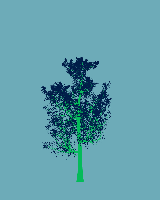 greenshift tree