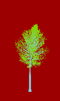 greenshift tree