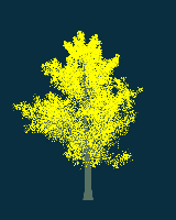 greenshift tree