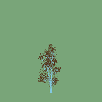 greenshift tree