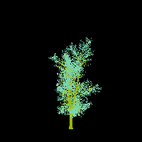 greenshift tree