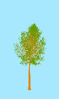 greenshift tree