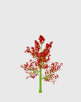 greenshift tree