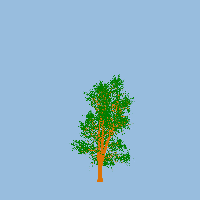 greenshift tree
