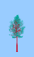 greenshift tree