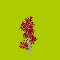 greenshift tree