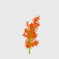 greenshift tree
