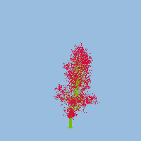 greenshift tree