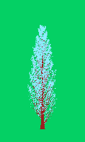 greenshift tree