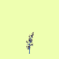greenshift tree