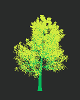 greenshift tree
