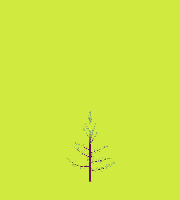 greenshift tree