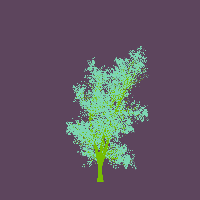 greenshift tree