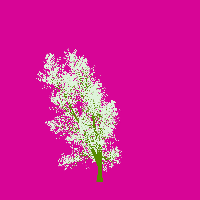 greenshift tree