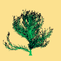 greenshift tree