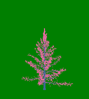 greenshift tree