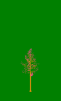 greenshift tree