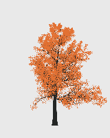 greenshift tree
