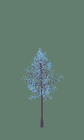 greenshift tree