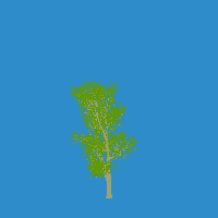 greenshift tree