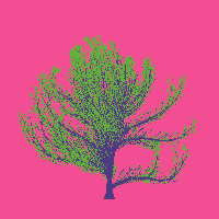 greenshift tree