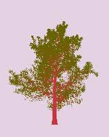 greenshift tree