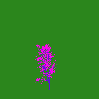 greenshift tree