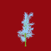 greenshift tree