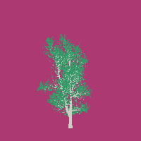 greenshift tree