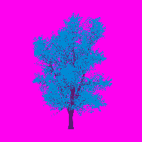 greenshift tree