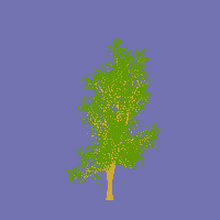 greenshift tree