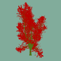 greenshift tree